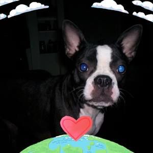 Meet your Posher, Kerri